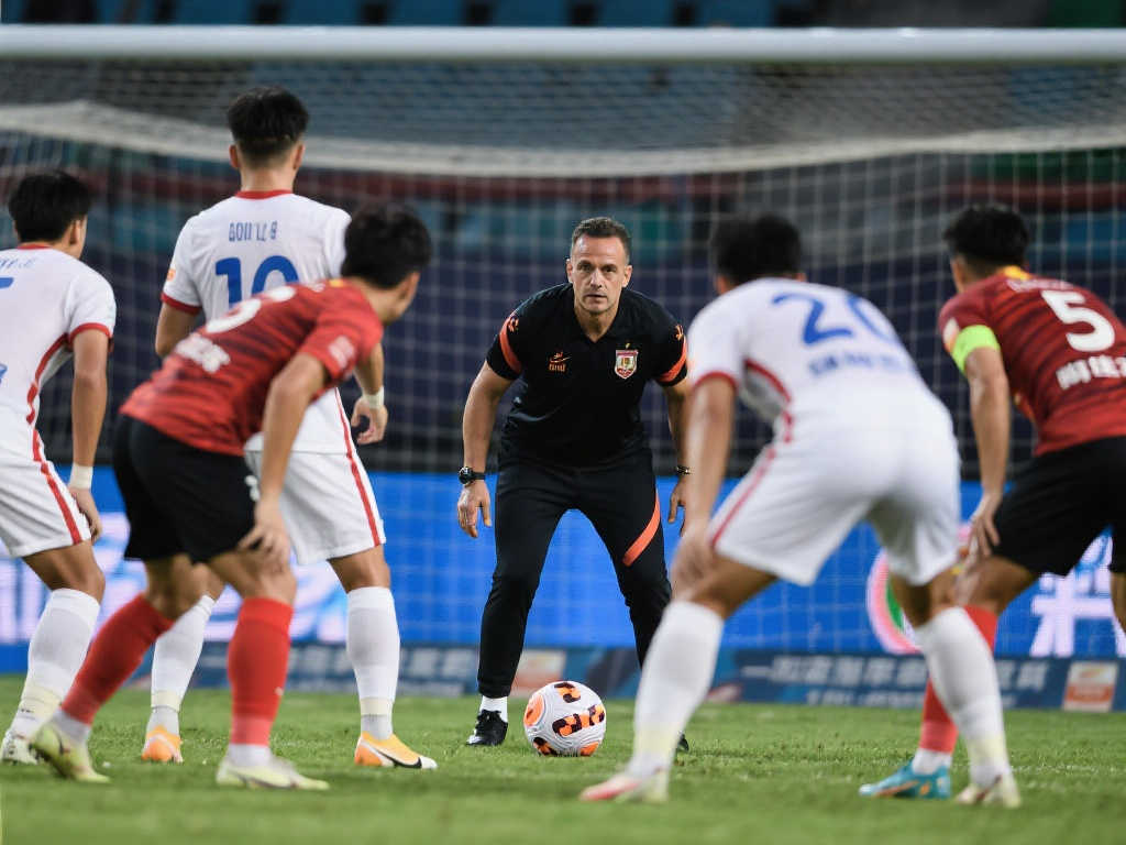 李诗沣的胜 李诗沣的胜