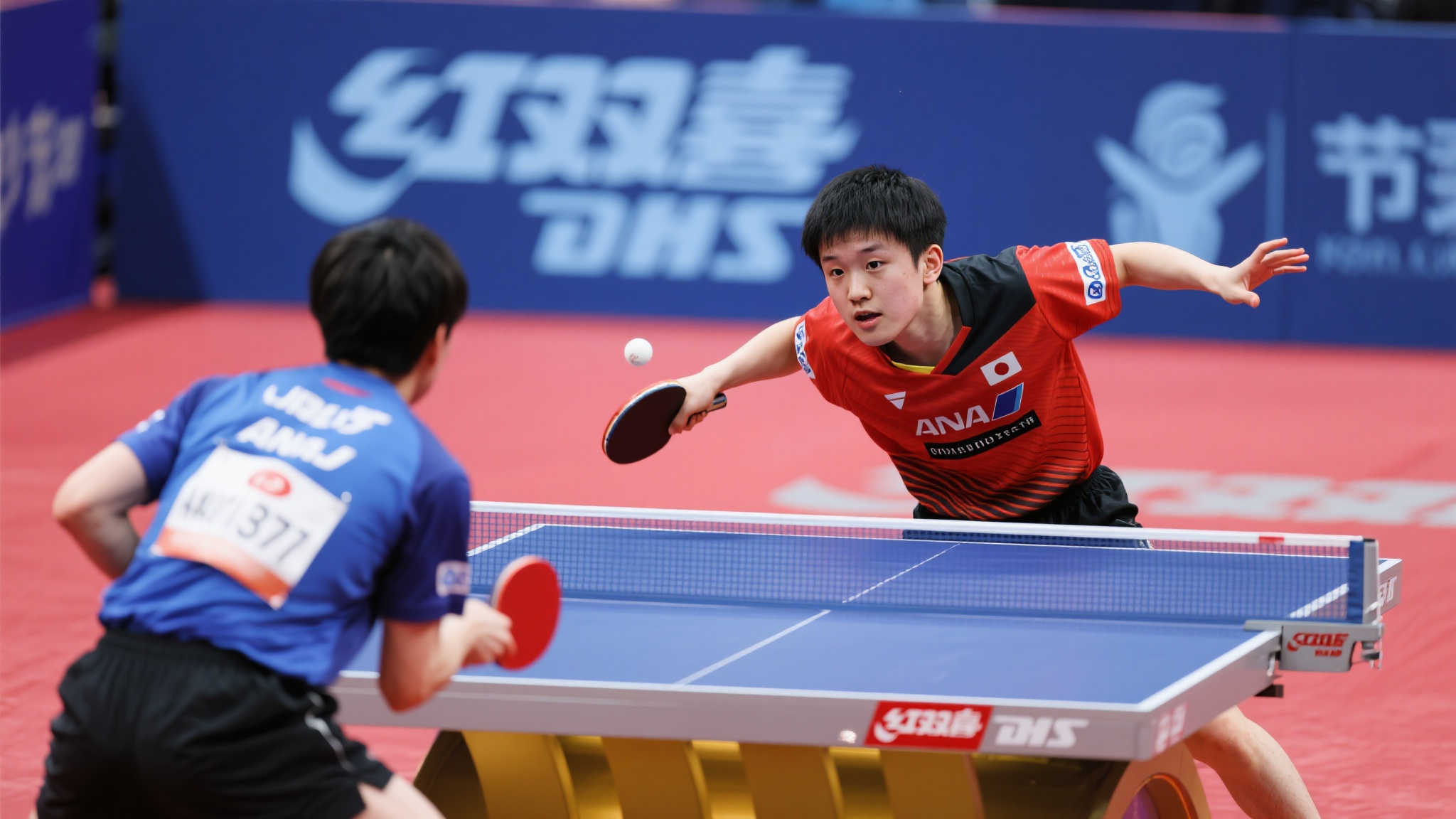 国际上已有 国际上已有